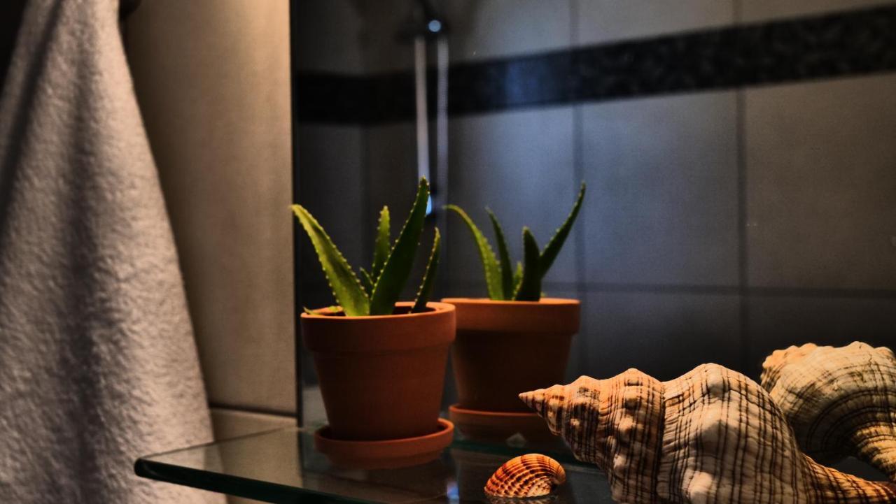 Thea Apartment Agia Marina Exteriér fotografie